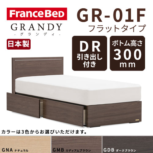 【フレームのみ】フランスベッド グランディ GR-01F DRタイプ(引き出し付き) ボトム高さ30.0cm ダブルサイズ(D)【都内・隣接県は開梱設置無料(日曜・祝日配送除く)】【代引き不可】
