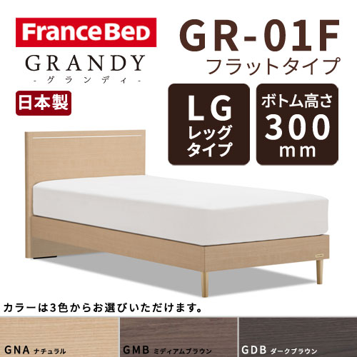 【フレームのみ】フランスベッド グランディ GR-01F LGタイプ(レッグタイプ) ボトム高さ30.0cm セミダブルサイズ(M)【都内・隣接県は開梱設置無料(日曜・祝日配送除く)】【代引き不可】