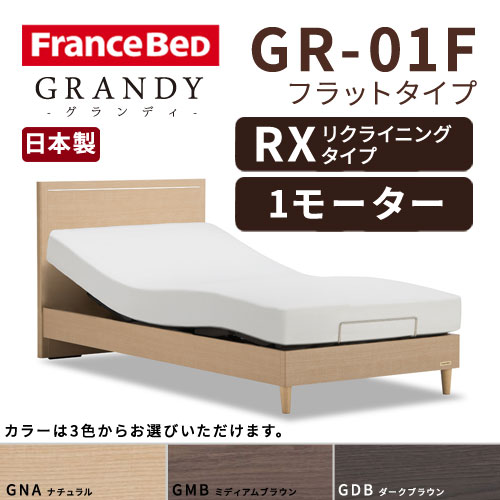 【フレームのみ】【開梱設置無料】フランスベッド グランディ GR-01F RX(リクライニングタイプ) 1モーター セミダブルサイズ(M)【代引き不可】