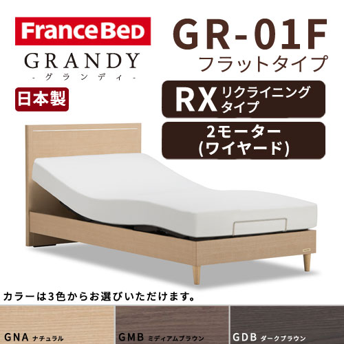 【フレームのみ】【開梱設置無料】フランスベッド グランディ GR-01F RX(リクライニングタイプ) 2モーター ワイヤード セミダブルサイズ(M)【代引き不可】