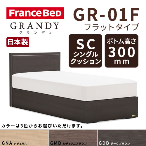【フレームのみ】フランスベッド グランディ GR-01F SCタイプ ボトム高さ30.0cm セミダブルサイズ(M)【都内・隣接県は開梱設置無料(日曜・祝日配送除く)】【代引き不可】